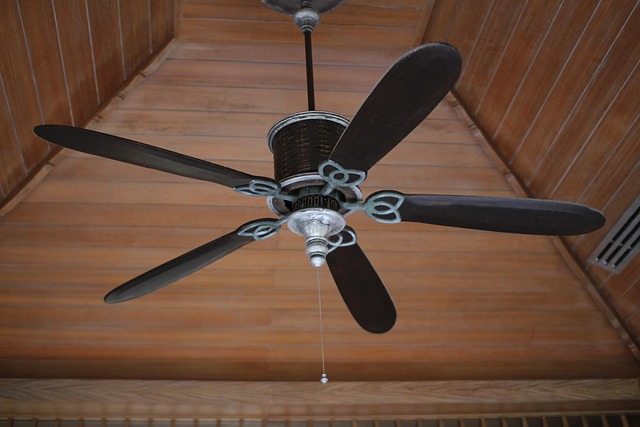 Local Ceiling Fan Installers Serving Fort Lauderdale, FL